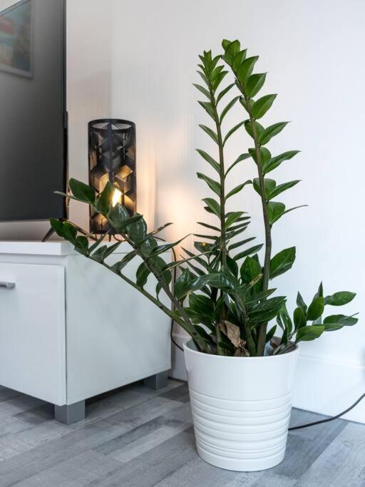 Logement Le Serein Toulon Buitenkant foto